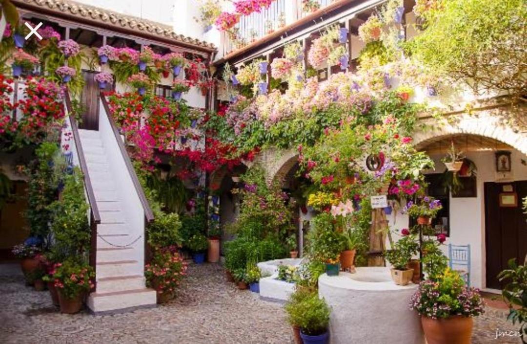 A 20 Metros De La Mezquita Catedral ,Apartamentos Turistico Cespedes 5 Kordoba Bagian luar foto