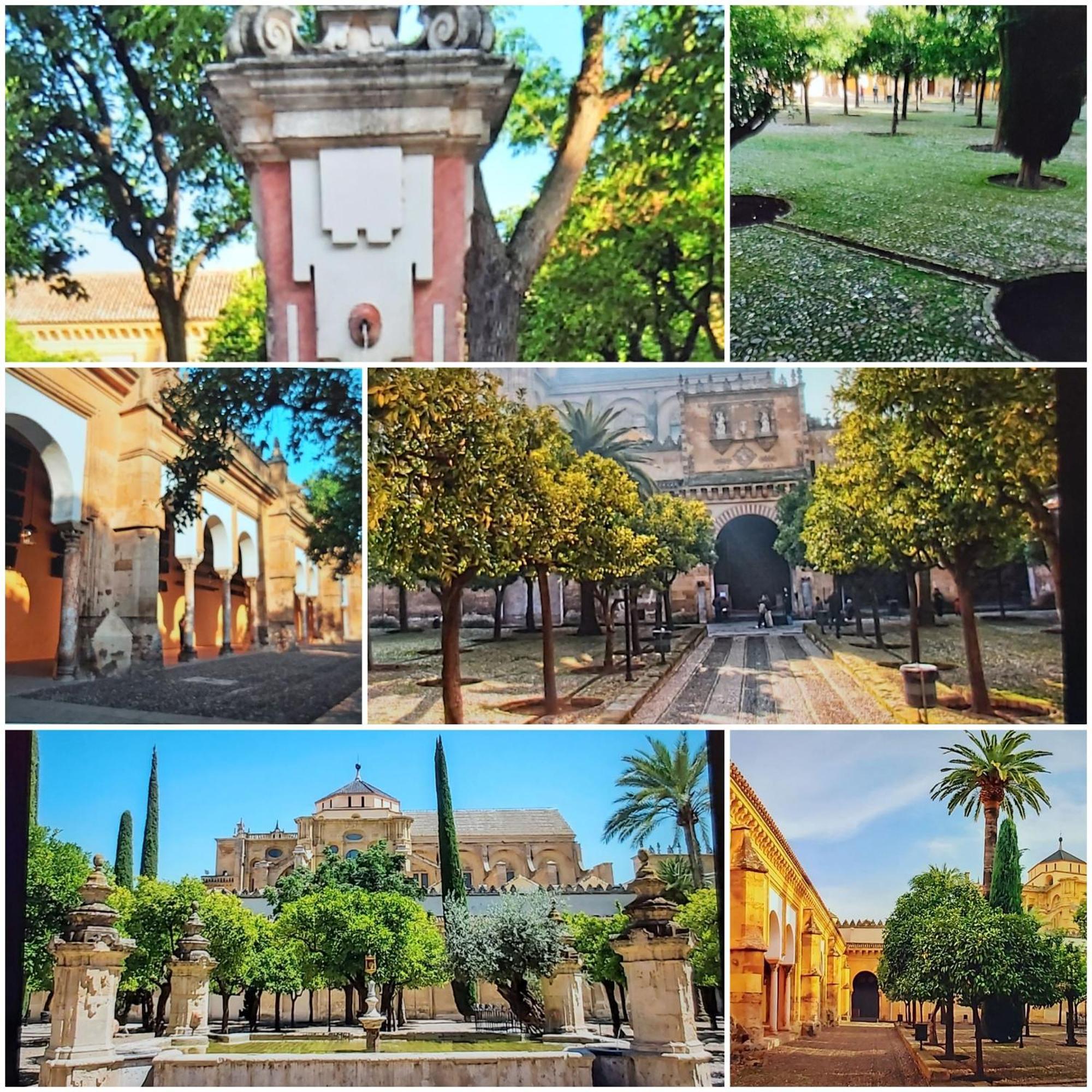 A 20 Metros De La Mezquita Catedral ,Apartamentos Turistico Cespedes 5 Kordoba Ruang foto
