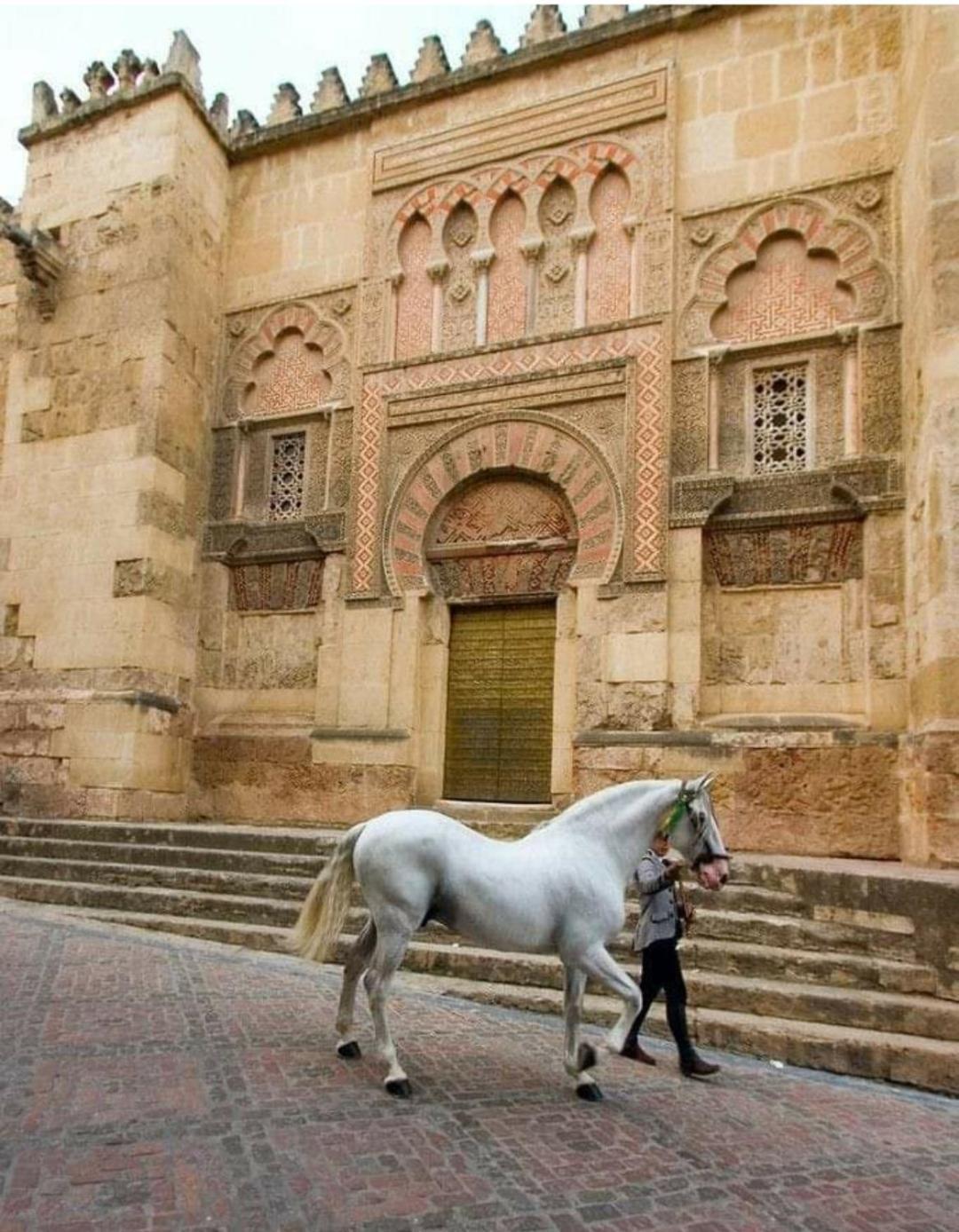 A 20 Metros De La Mezquita Catedral ,Apartamentos Turistico Cespedes 5 Kordoba Ruang foto