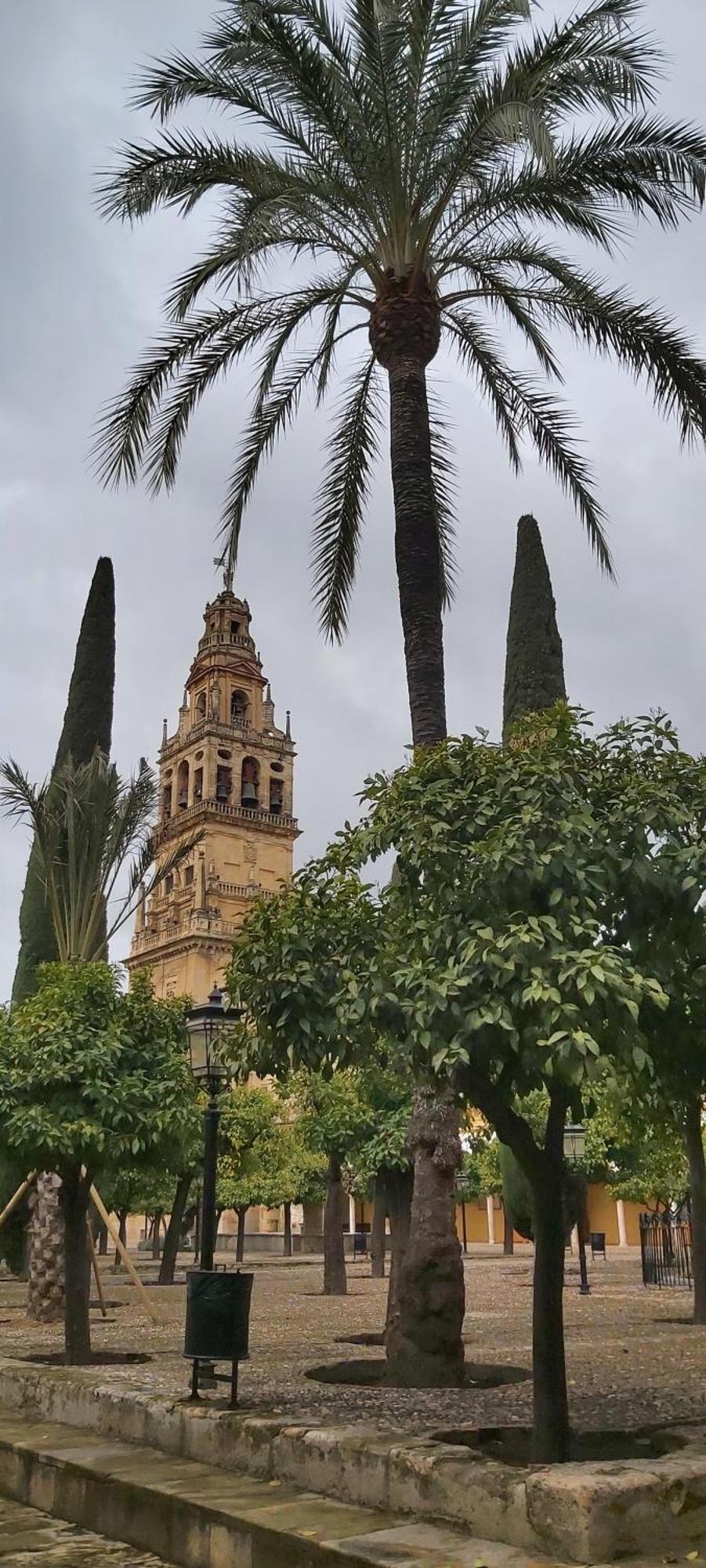 A 20 Metros De La Mezquita Catedral ,Apartamentos Turistico Cespedes 5 Kordoba Ruang foto